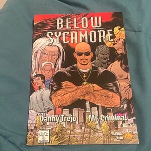 Below Sycamore Graphic Novel